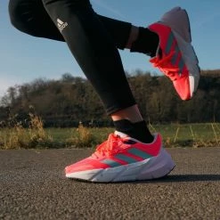 Running shoes adidas ADISTAR W -Running shoes adidas Sales 2022 adidas adistar w 408279 gx2984 960