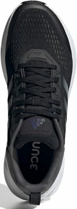 Running shoes adidas QUESTAR 8 Running shoes adidas QUESTAR -Running shoes adidas Sales 2022 adidas questar 435784 gz0622 960