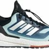 Running shoes adidas ULTRABOOST 22 C.RDY II W